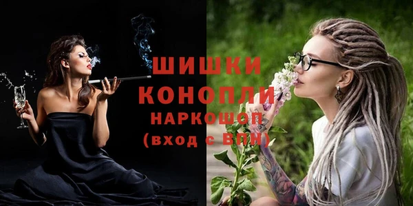 соль ск Волосово